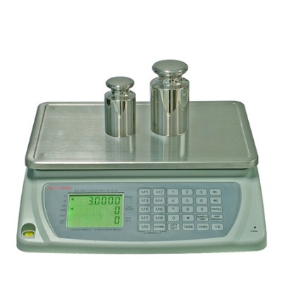 Counting Scale - Anyload EC100